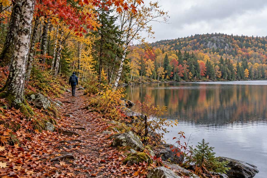 Lakeside trail covered in fallen autumn leaves after a rain shower