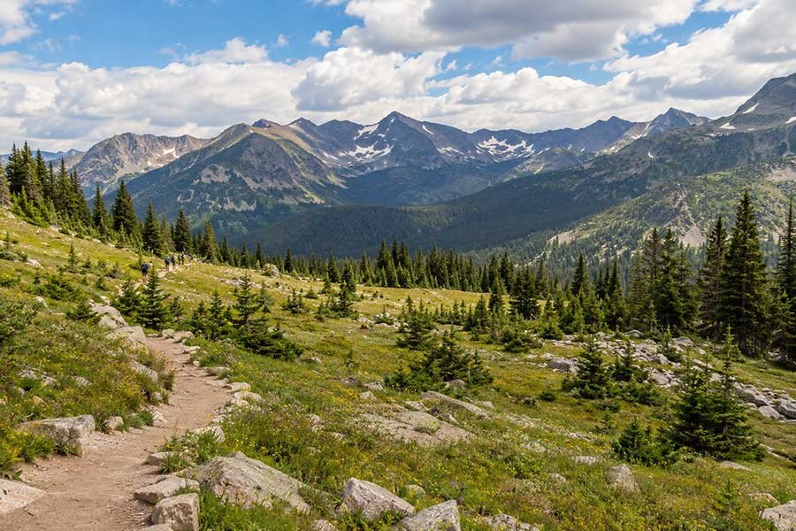 Hiker on a trail through a Rocky Mountain meadow with wildflowers and peaks in the distance