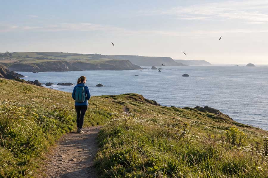 Traveler watching seabirds from a quiet coastal trail above the sea