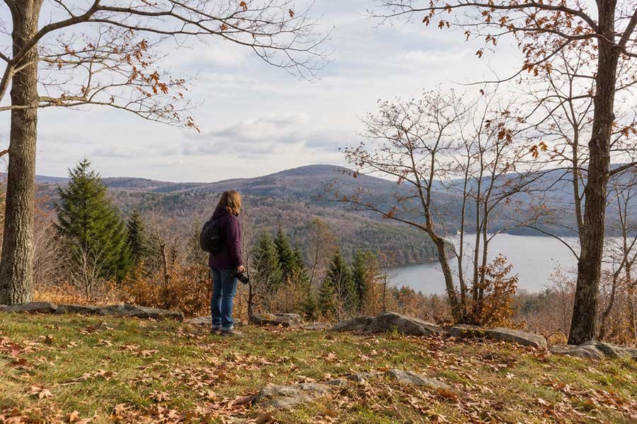 Traveler standing in a bare autumn landscape where the leaves have already fallen